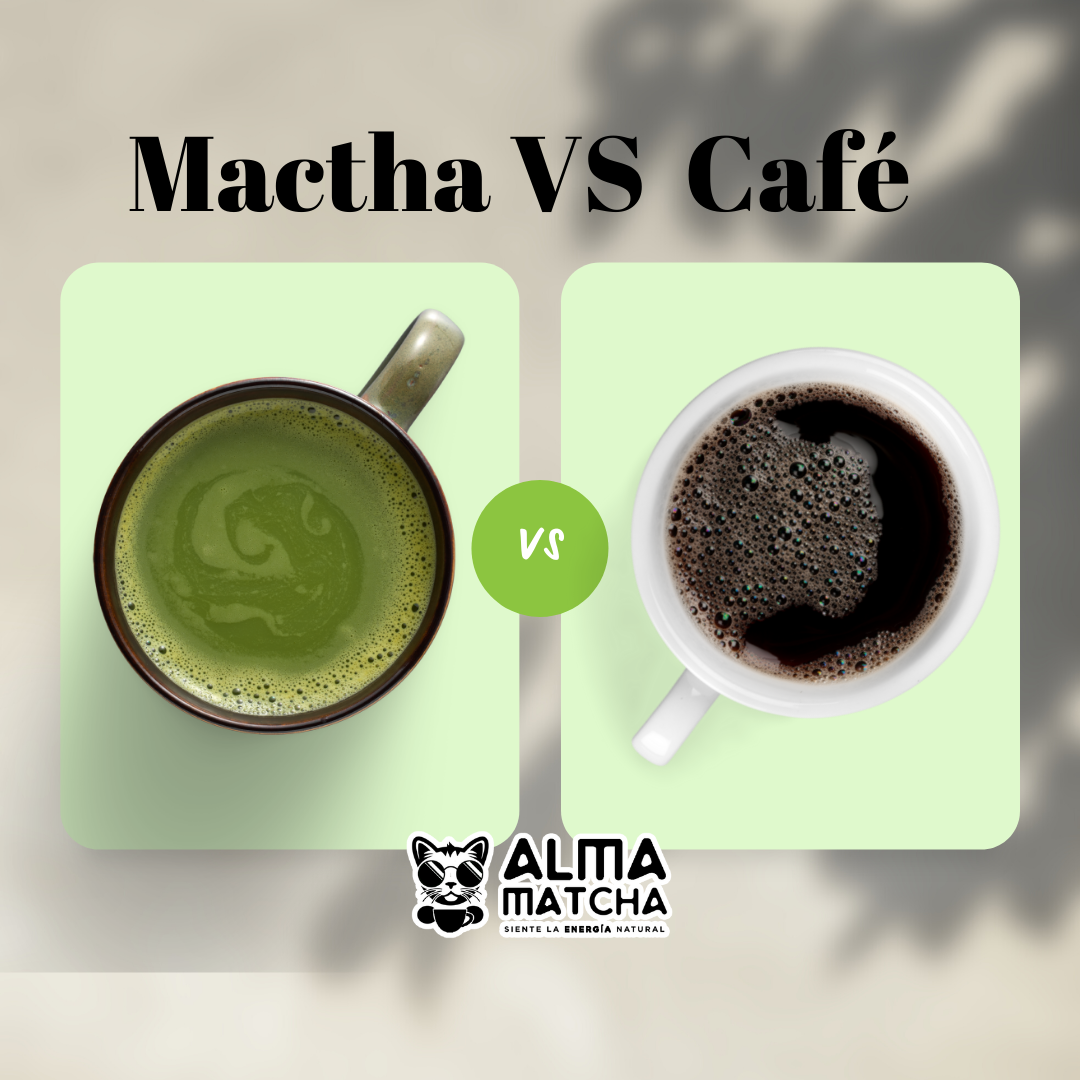 Matcha vs Café (guía definitiva) AlmaMatcha