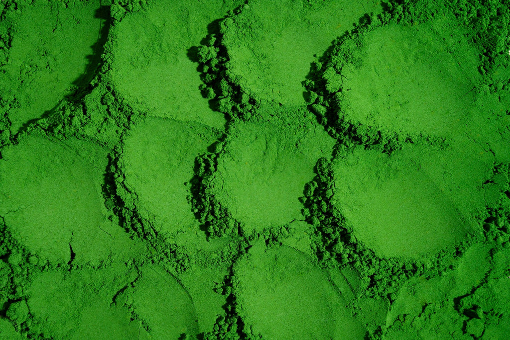 ¿Cuáles son los tipos de grados matcha? Guía completa para elegir el mejor