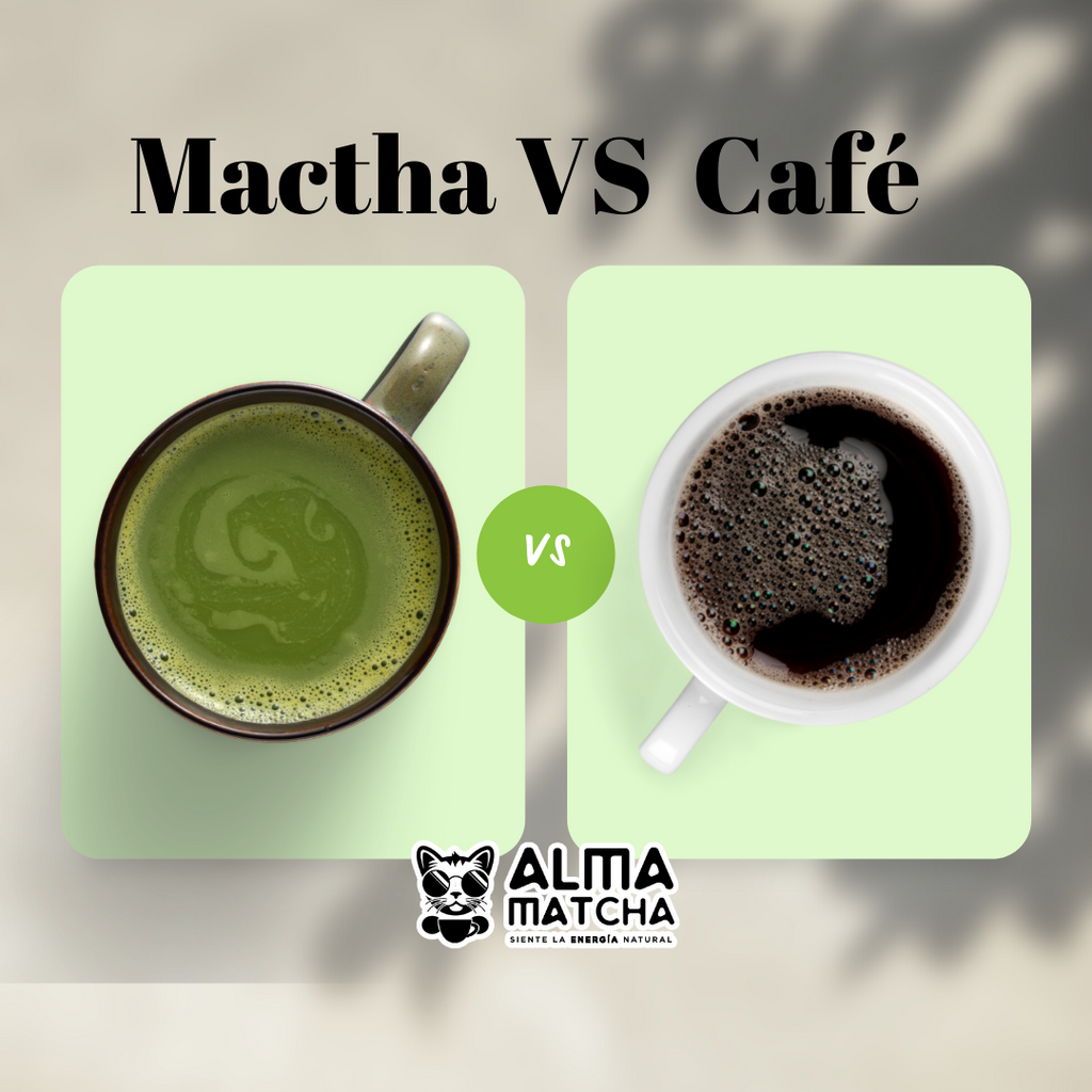 Matcha vs Café (guía definitiva)